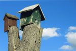Birdhouses by Cathy Butcher