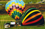 Balloon Fest by Beverly Yoskovich
